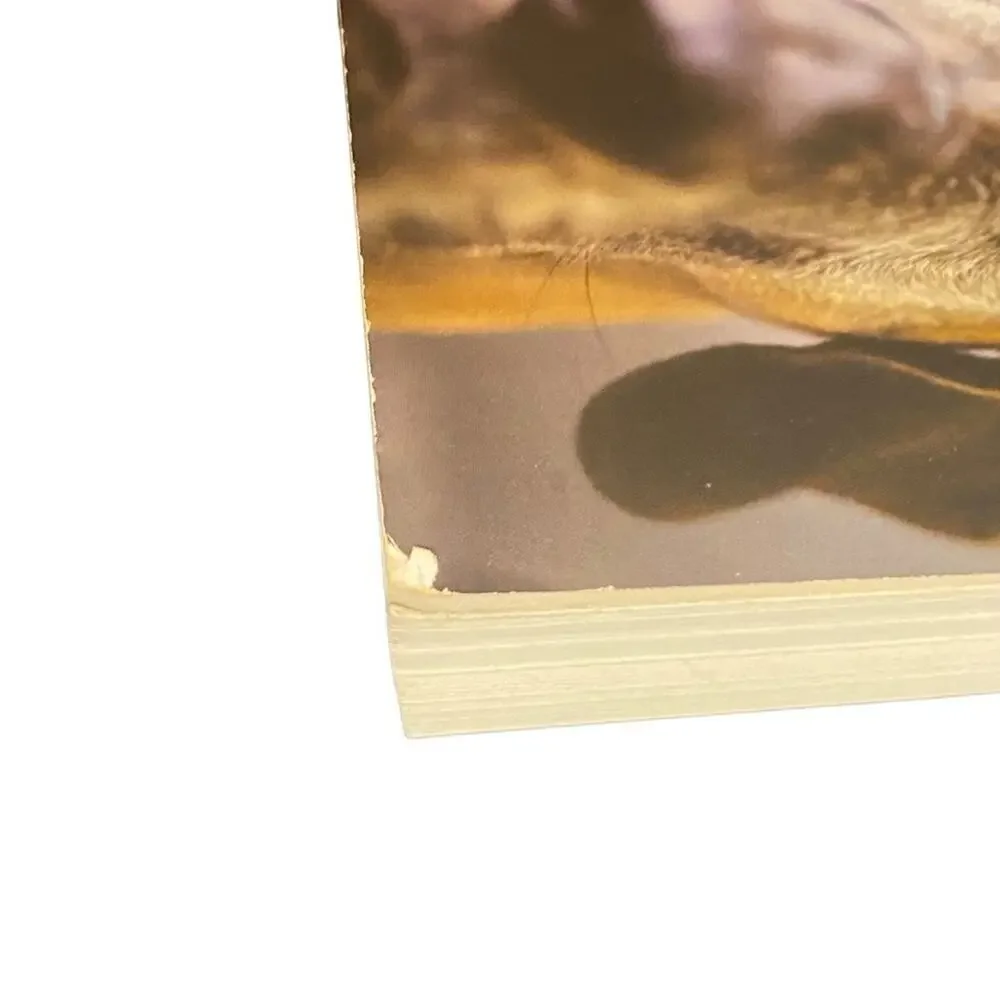 Inside of a Dog: What Dogs See, Smell, and Know